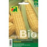 AUSTROSAAT Organic Sweet Corn- Golden Bantam