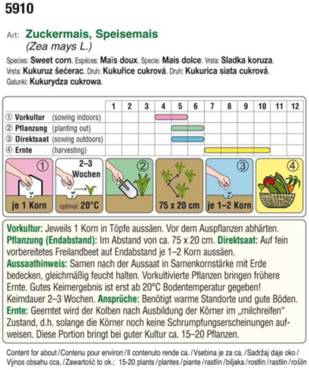 AUSTROSAAT Bio sladka koruza 