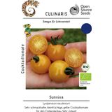 Culinaris Tomate Bio "Sunviva"
