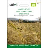 Sativa Bio Getreide "Sommergerste"