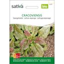 Sativa Laitue-Asperge Bio 