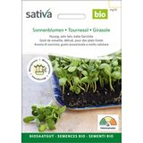 Sativa Bio nasiona kiełków "słonecznik"