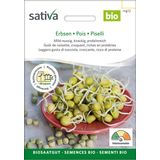 Sativa Bio nasiona kiełków "groch"