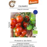 Culinaris Tomate Bio "Primavera"
