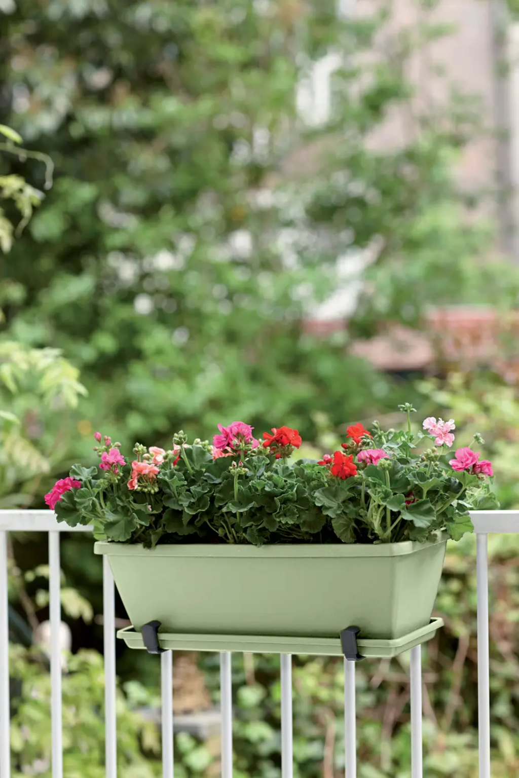 elho barcelona Balcony Box 50cm - Pistachio green