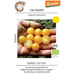 Culinaris Biologische Wilde Tomaat Golden Currant - 1 Verpakking