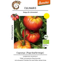 Bio pomidor mięsisty Capseya (w kształcie papryki) - 1 opak.