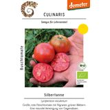 Culinaris Bio paradajka Silbertanne
