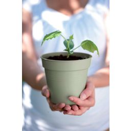 elho green basics Grow Pot - Stone Green - 15 cm