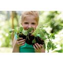 elho green basics grow pot - nero