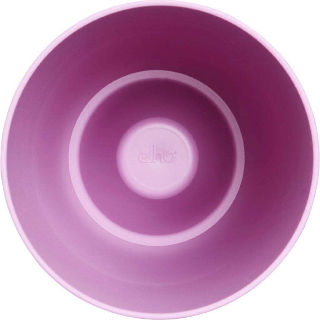 elho Blomkruka - Bryssel orkidé hög 12,5 cm - stark violett