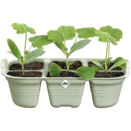 elho green basics seed tray - 22 cm