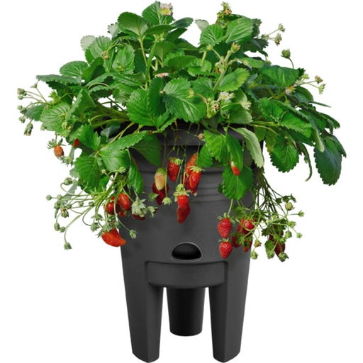 ザーpot Ｙ鉢 92531_7f9174bb.512x512.jpg