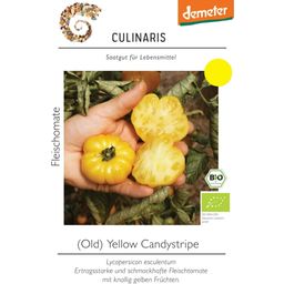 Tomate Ecológico - Old Yellow Candystripe - 1 paq.