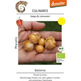 Culinaris Dulceria Bio földicseresznye
