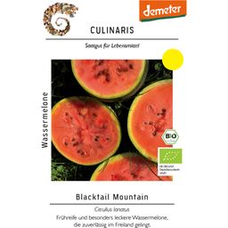 Culinaris Bio Wassermelone Blacktail Mountain - 1 Pkg