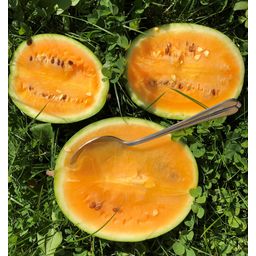 Culinaris Bio Wassermelone Solopoly - 1 Pkg