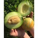 Culinaris Melon Bio 