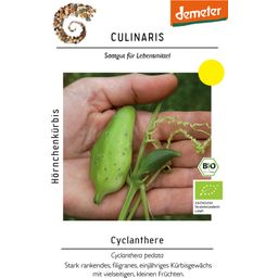 Culinaris Bio Hörnchenkürbis Cyclanthere - 1 Pkg