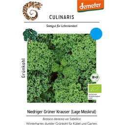 Culinaris Bio Grünkohl Niedriger Grüner Krauser