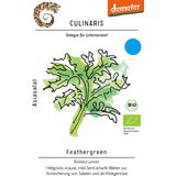 Culinaris Senape Indiana Bio - Feathergreen
