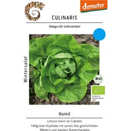 Culinaris Lattuga Invernale Bio - Humil - 1 conf.