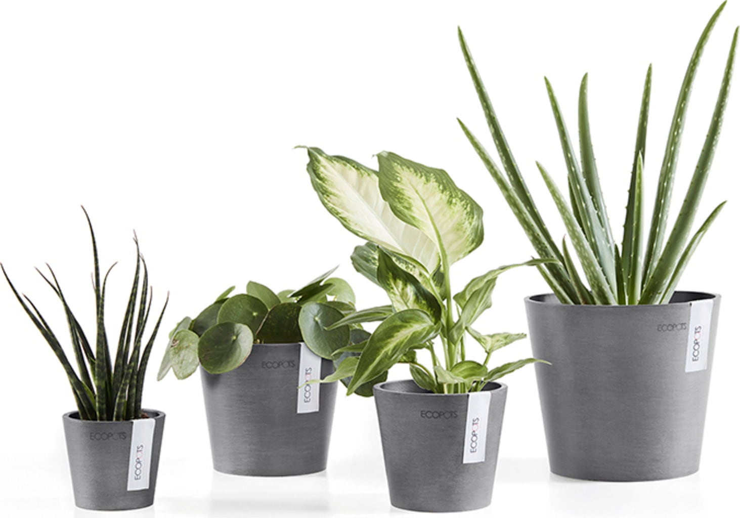 Ecopots Amsterdam, siva - Ø 8 cm, višina 7 cm