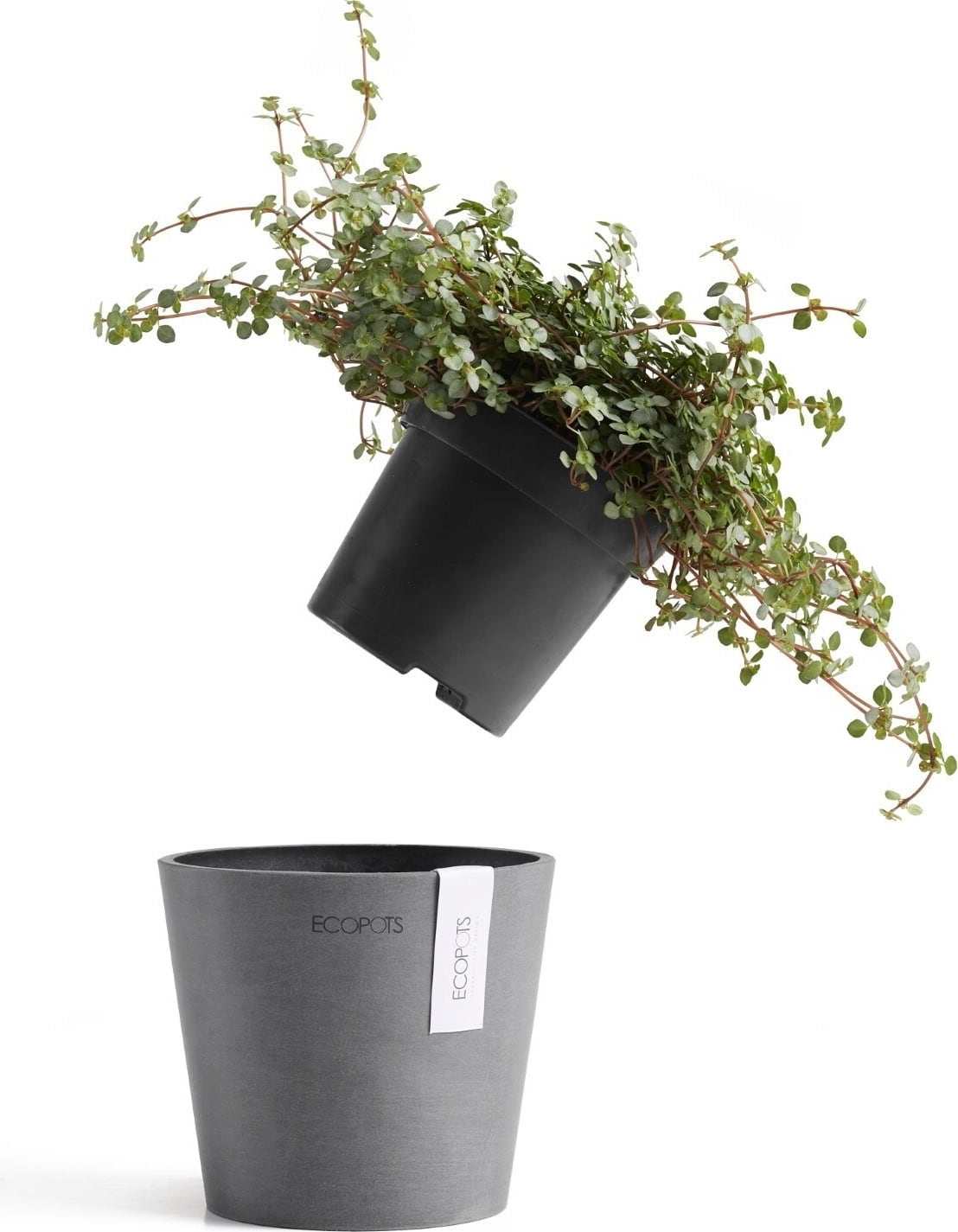 Ecopots Amsterdam, siva - Ø 8 cm, višina 7 cm