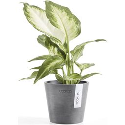 Ecopots Amsterdam Grijs - Ø 10,5 cm, hoogte 9,2 cm