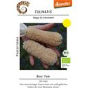 Culinaris Biologische Popcornmaïs Bear Paw - 1 Verpakking