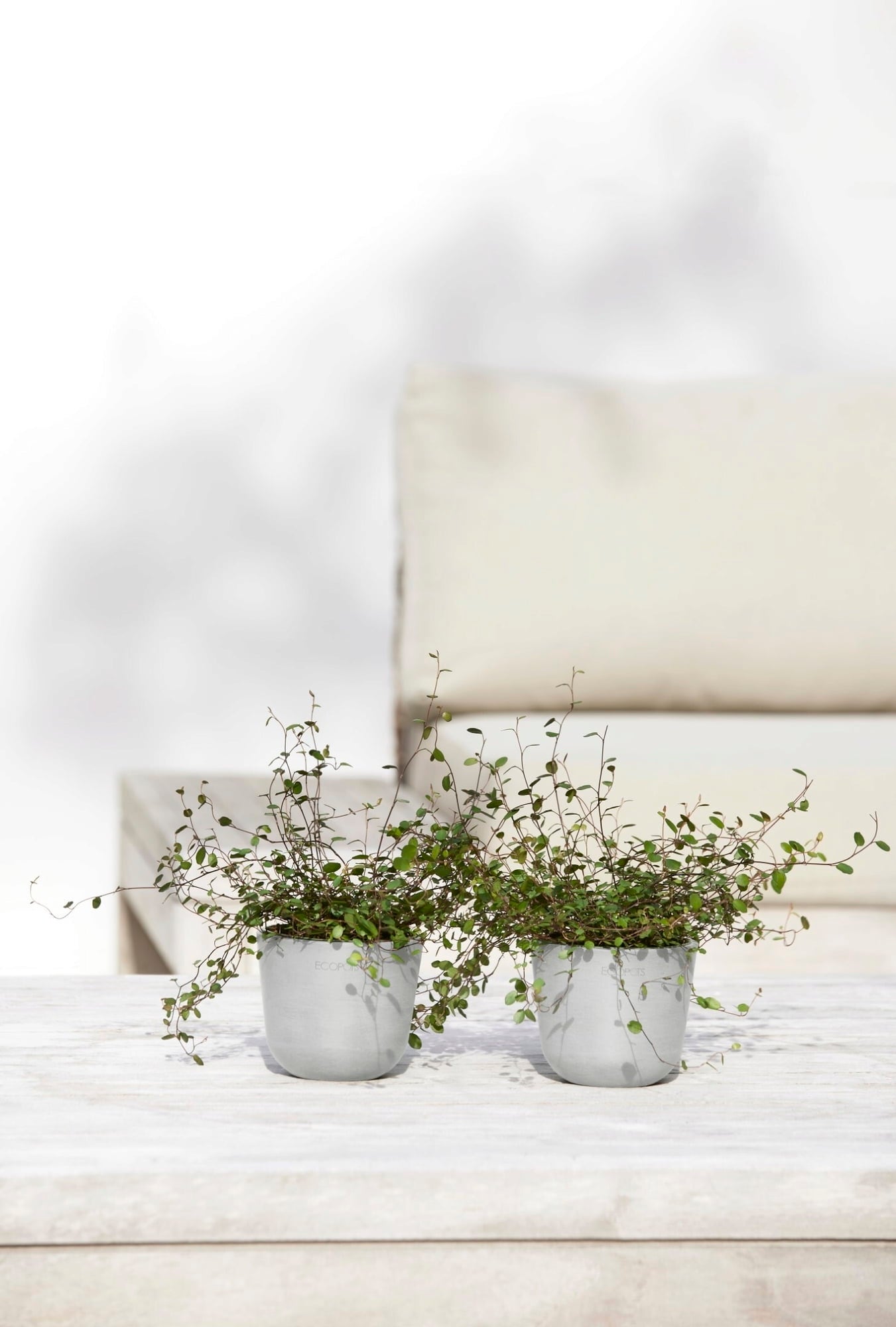 Ecopots Oslo Mini, belo siva - Ø 11,5 cm, višina 10 cm
