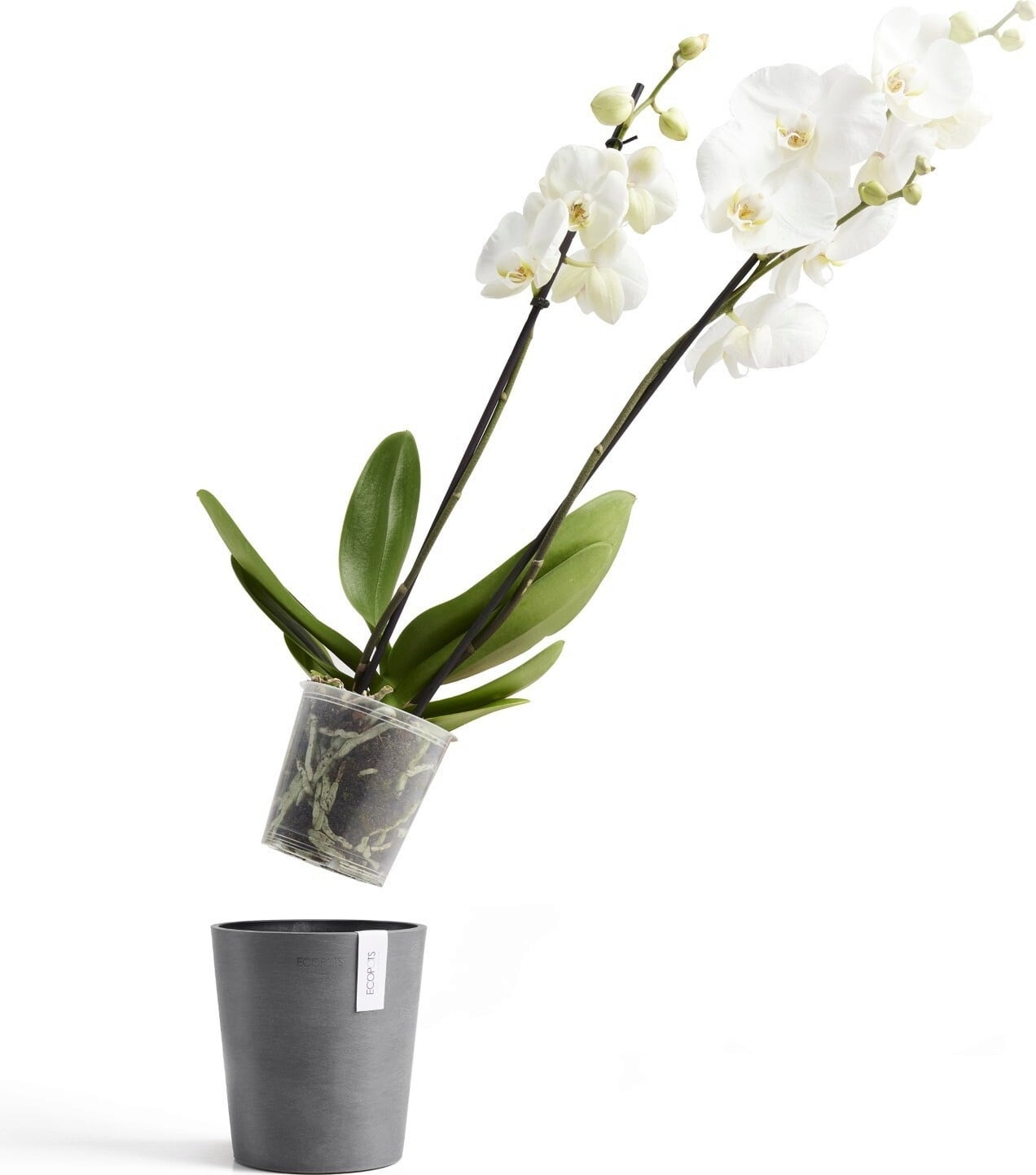 Ecopots Morinda, siva - Ø 14 cm, višina 16 cm