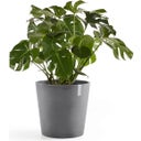 Ecopots Amsterdam Water Reservoir - Grey  - Ø 50 cm, height 44 cm