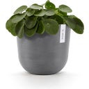 Ecopots Oslo kaspó víztartállyal - szürke - Ø 25 cm, magasság 21,80 cm