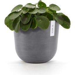 Ecopots Oslo kaspó víztartállyal - szürke - Ø 25 cm, magasság 21,80 cm