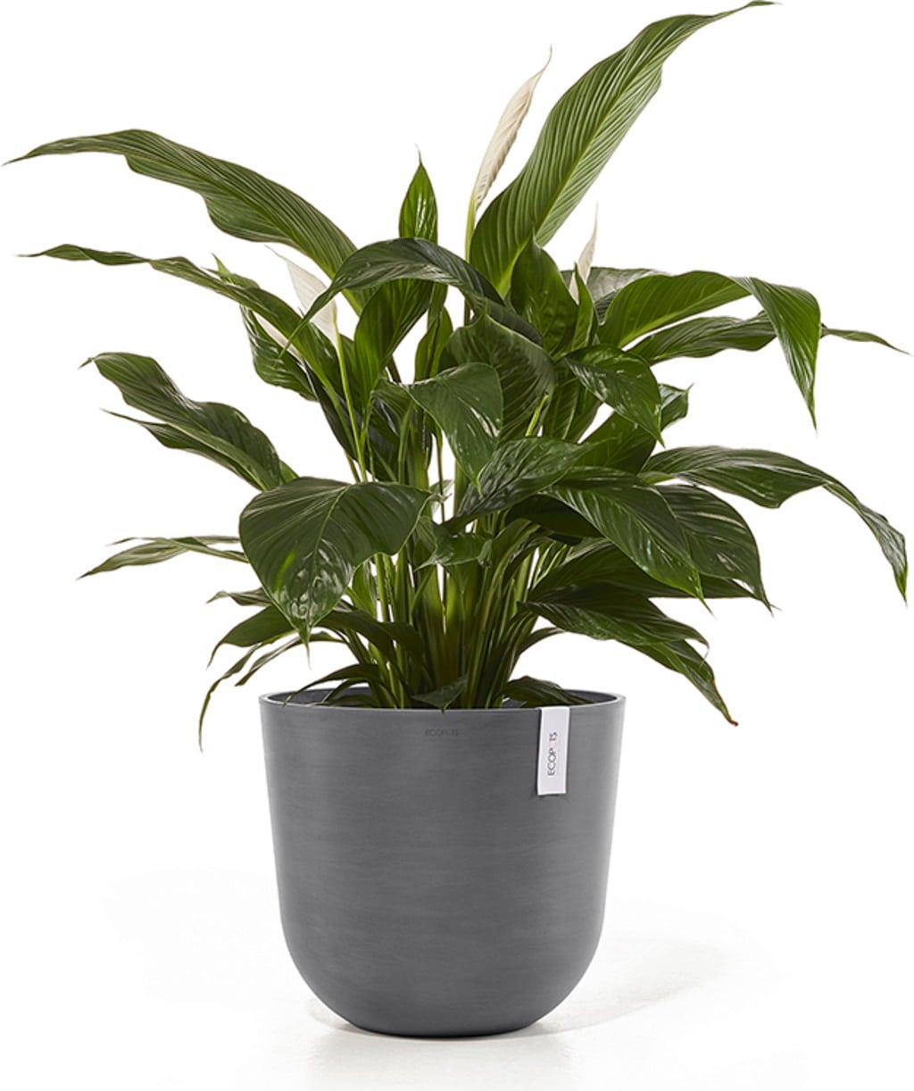Ecopots Oslo Blomkruka med Vattenbehållare - grå - Ø 45 cm, höjd 39,2 cm