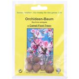 TROPICA Orchideeënboom