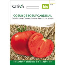 Tomate Charnue Bio "Cœur de Bœuf Cardinal"