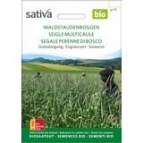 Sativa "Erdei évelő rozs" Bio zöldtrágya 