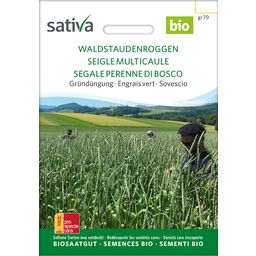 Sativa Bio Gründüngung "Waldstauden Roggen"