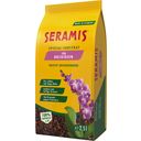 Seramis Speciális szubsztrátum orchideák számára - 2,50 l