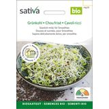 Sativa Bio Keimsprossen "Grünkohl"