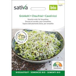 Sativa Semi Bio per Germogli - Cavolo Riccio