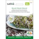 Sativa Semi Bio per Germogli - Broccolo