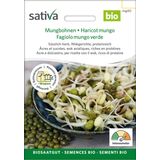 Sativa Graines à Germer Bio "Haricot Mungo"