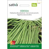 Sativa Biologische Struikboon "Odessa"