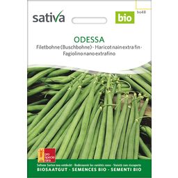 Sativa Bio Filetbohne (Buschbohne) "Odessa"