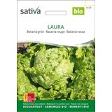 Sativa Batavia Rouge Bio "Laura