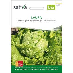 Sativa Bio Batavia zelena "Laura"