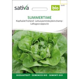 Sativa Bio Kopfsalat "Summertime"